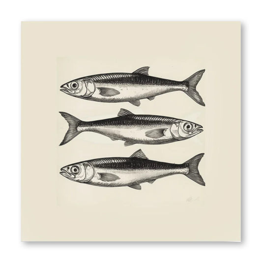 Three Sardine Print